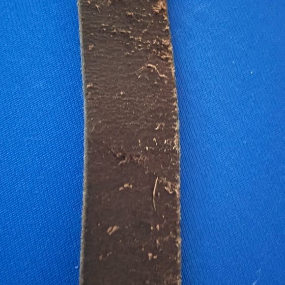 Brown Leather Belt with Gold Tree of life Buckle - Picture 8 of 8